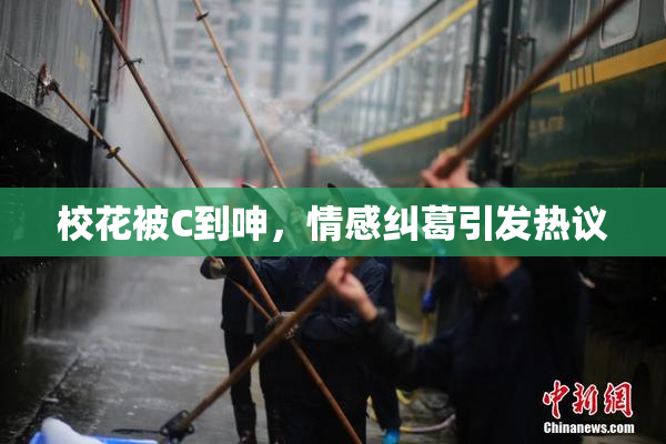 校花被C到呻，情感纠葛引发热议