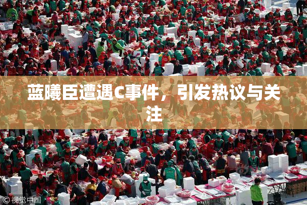 蓝曦臣遭遇C事件，引发热议与关注