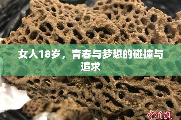 女人18岁，青春与梦想的碰撞与追求