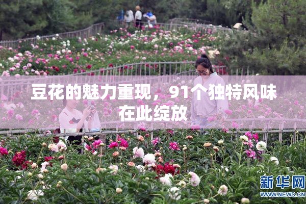 豆花的魅力重现，91个独特风味在此绽放