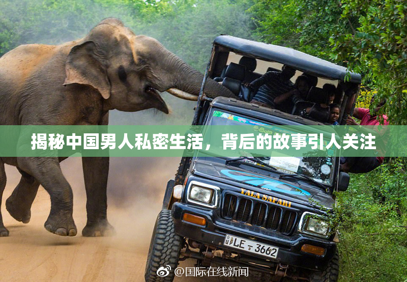 揭秘中国男人私密生活，背后的故事引人关注
