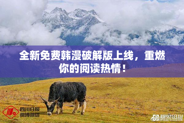 全新免费韩漫破解版上线，重燃你的阅读热情！