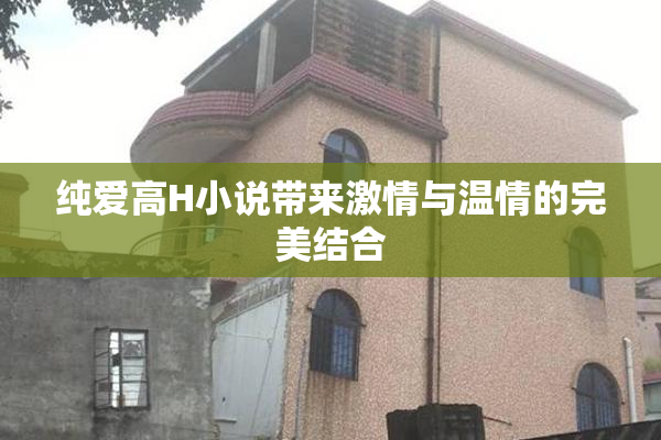 纯爱高H小说带来激情与温情的完美结合