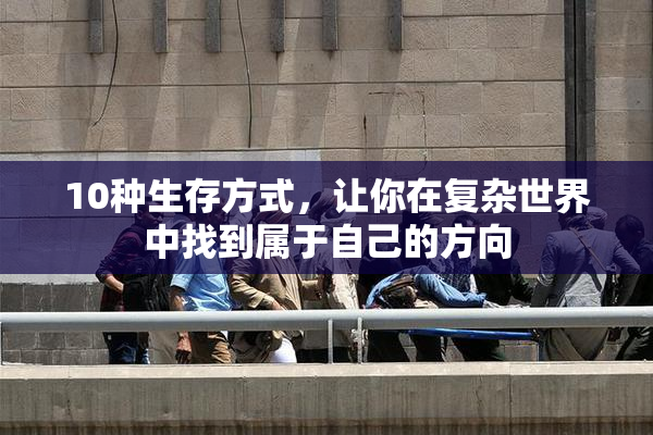 10种生存方式，让你在复杂世界中找到属于自己的方向