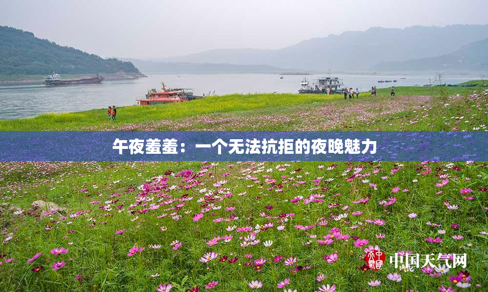 午夜羞羞：一个无法抗拒的夜晚魅力