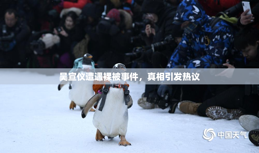 吴宣仪遭遇裸被事件，真相引发热议