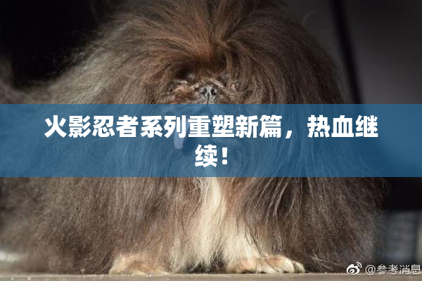 火影忍者系列重塑新篇，热血继续！