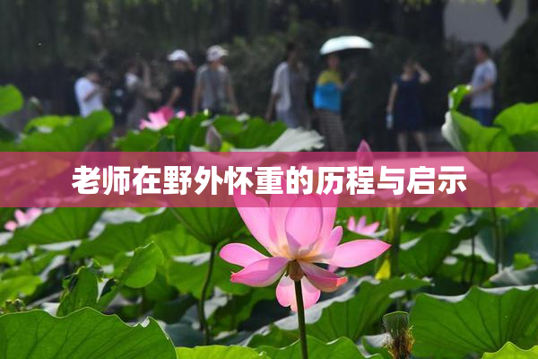 老师在野外怀重的历程与启示