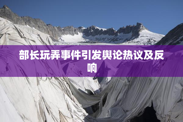 部长玩弄事件引发舆论热议及反响