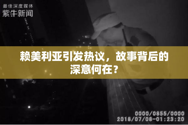 赖美利亚引发热议，故事背后的深意何在？