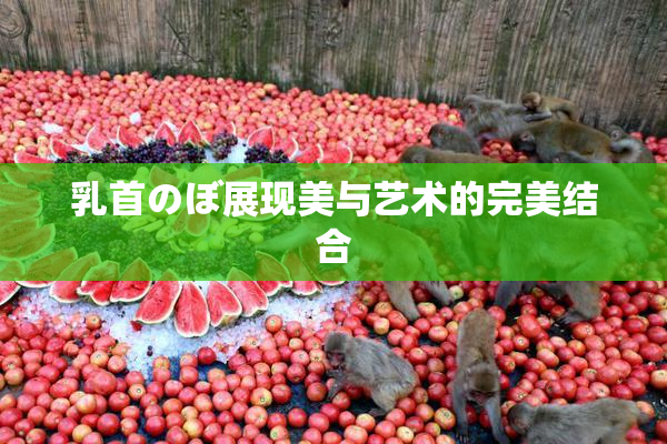 乳首のぼ展现美与艺术的完美结合