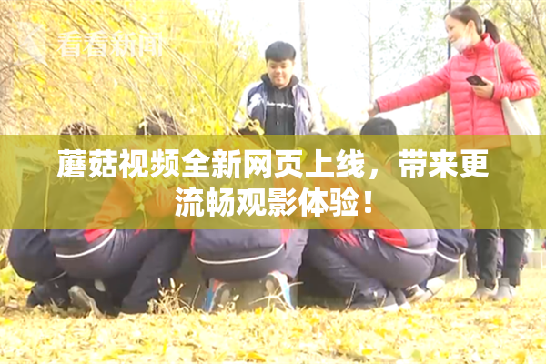 蘑菇视频全新网页上线，带来更流畅观影体验！