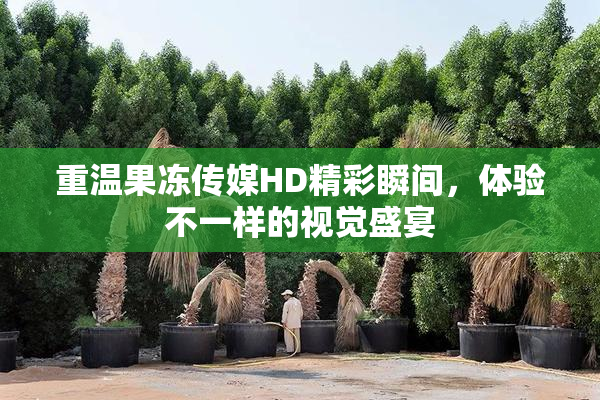 重温果冻传媒HD精彩瞬间，体验不一样的视觉盛宴