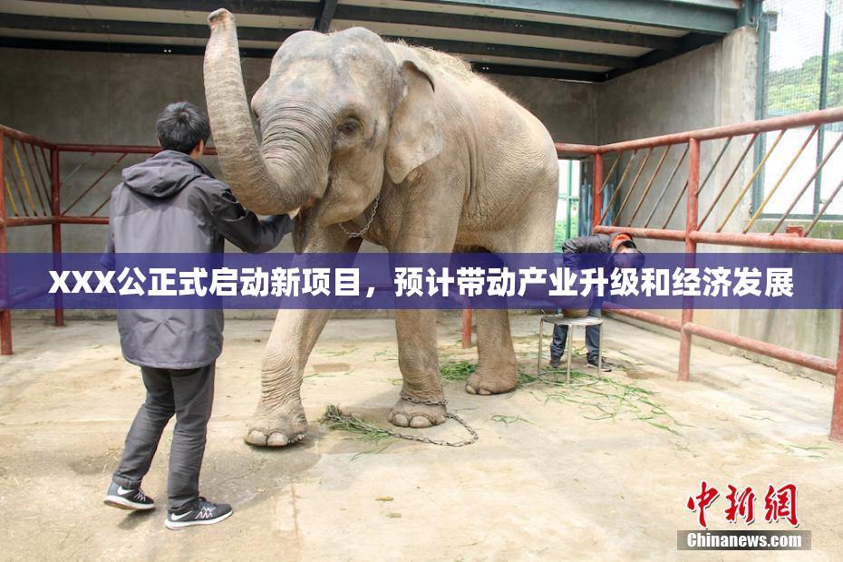XXX公正式启动新项目，预计带动产业升级和经济发展