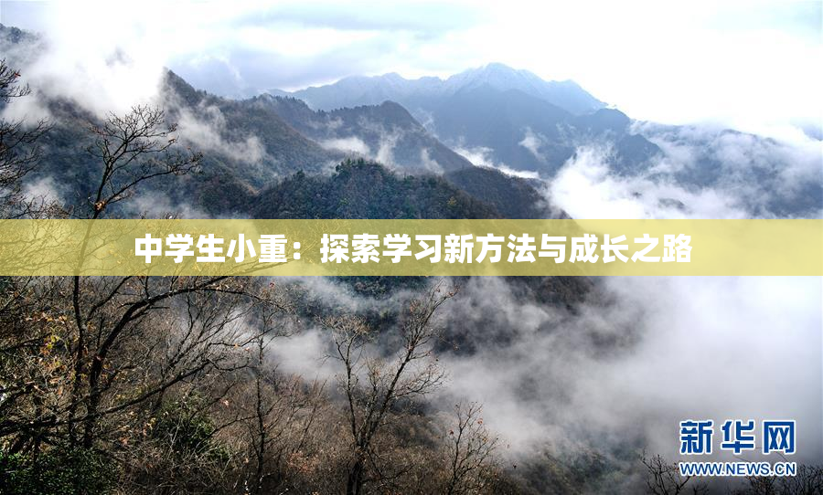 中学生小重：探索学习新方法与成长之路