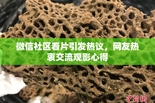微信社区看片引发热议，网友热衷交流观影心得
