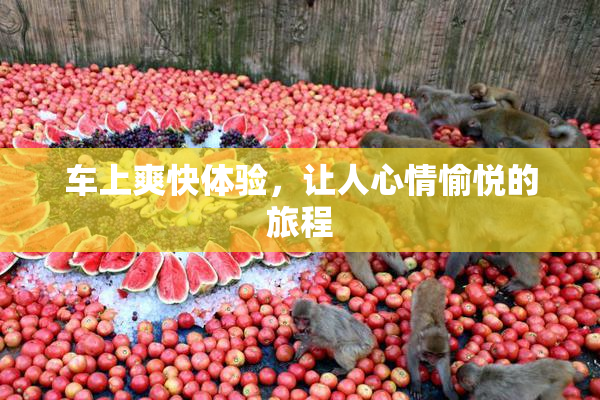 车上爽快体验，让人心情愉悦的旅程