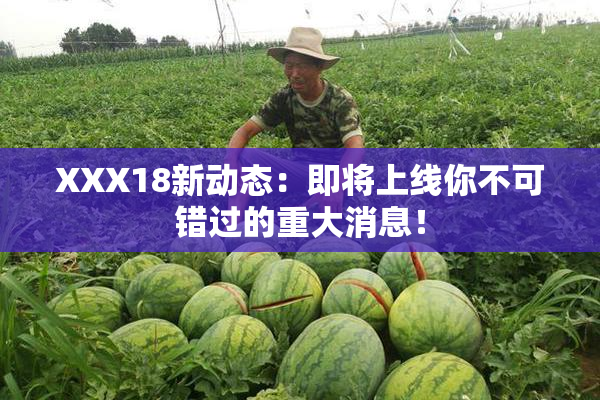 XXX18新动态：即将上线你不可错过的重大消息！
