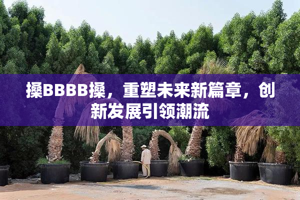 搡BBBB搡，重塑未来新篇章，创新发展引领潮流