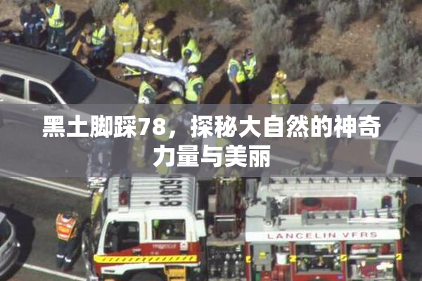 黑土脚踩78，探秘大自然的神奇力量与美丽