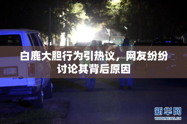 白鹿大胆行为引热议，网友纷纷讨论其背后原因