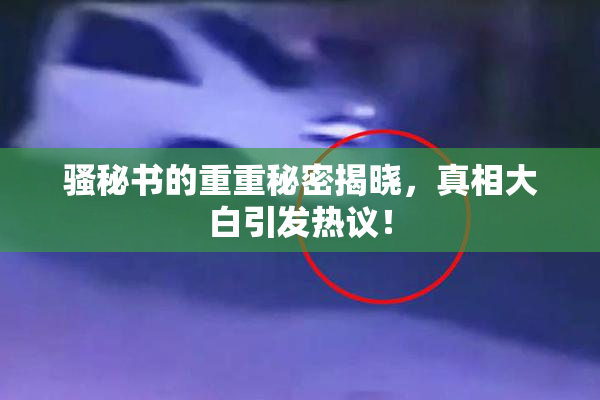 骚秘书的重重秘密揭晓，真相大白引发热议！