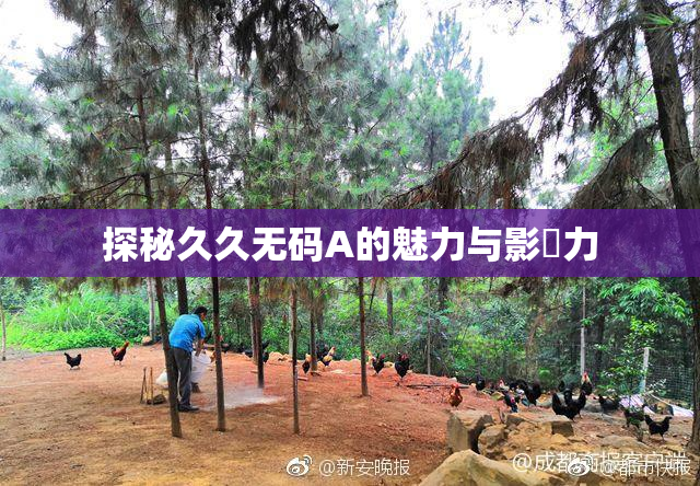 探秘久久无码A的魅力与影響力