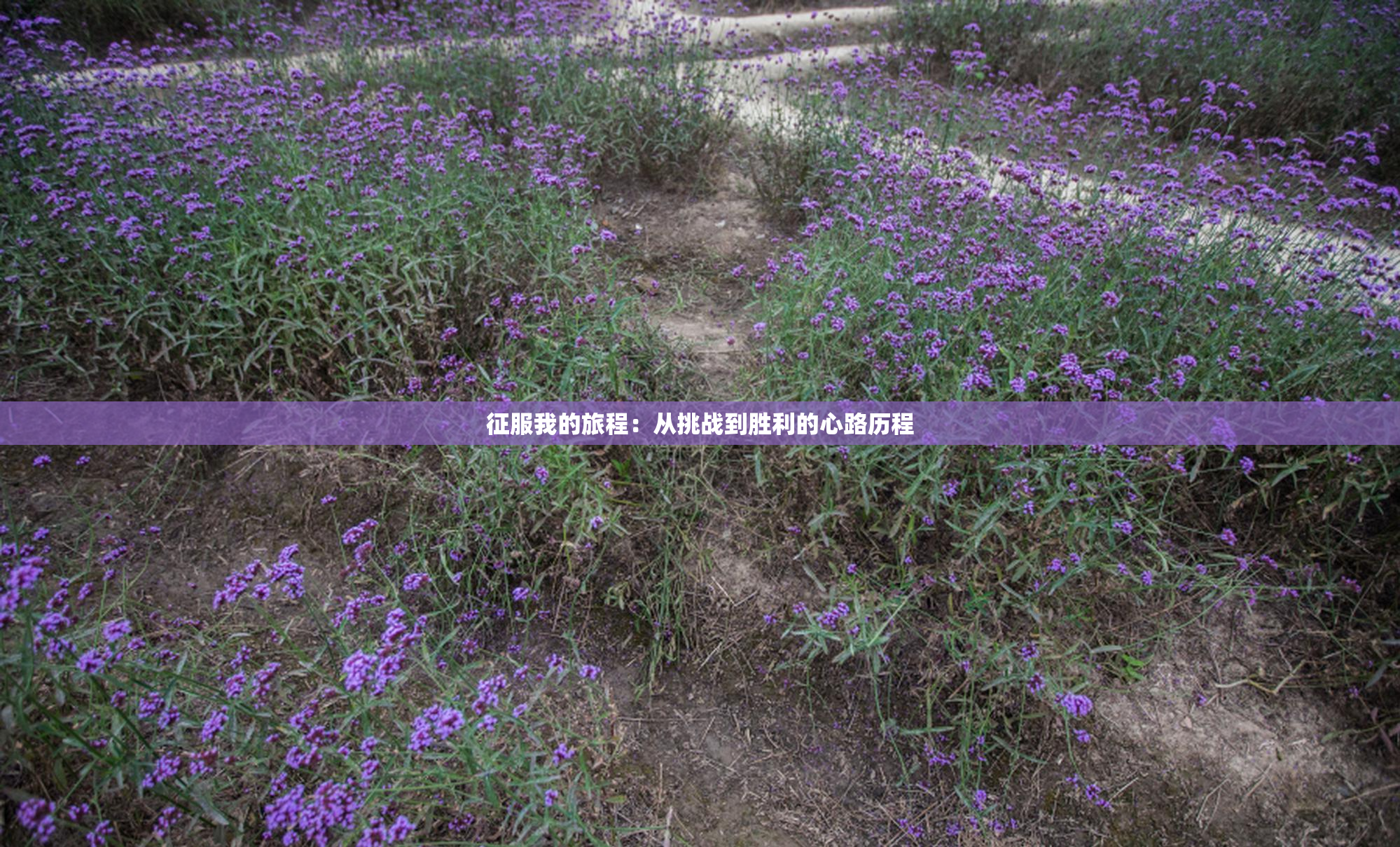 征服我的旅程：从挑战到胜利的心路历程