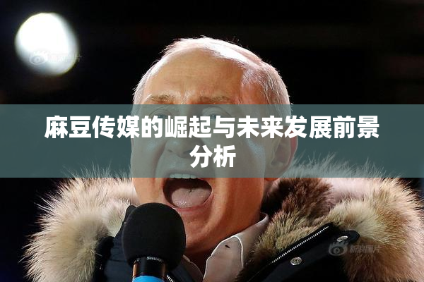 麻豆传媒的崛起与未来发展前景分析
