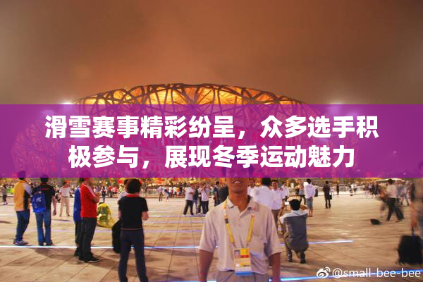 滑雪赛事精彩纷呈，众多选手积极参与，展现冬季运动魅力