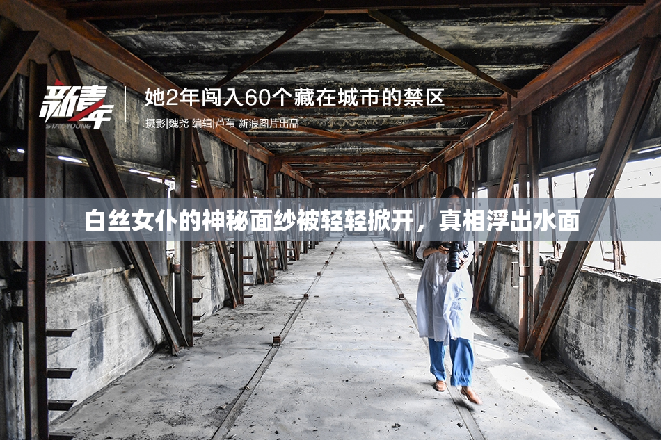 白丝女仆的神秘面纱被轻轻掀开，真相浮出水面