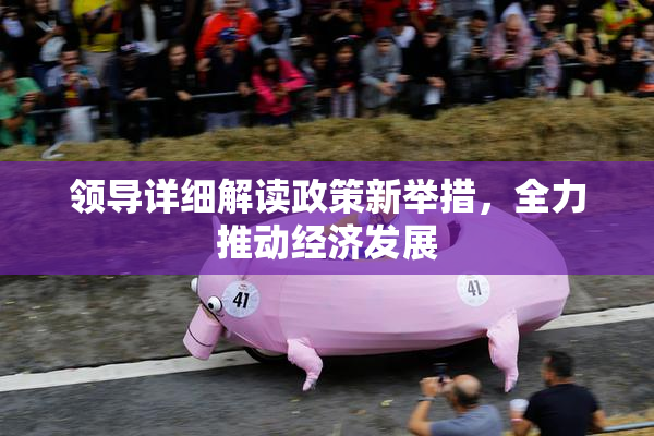 领导详细解读政策新举措，全力推动经济发展