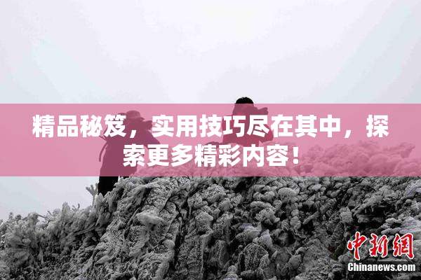 精品秘笈，实用技巧尽在其中，探索更多精彩内容！