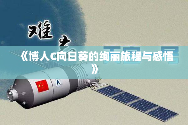 《博人C向日葵的绚丽旅程与感悟》