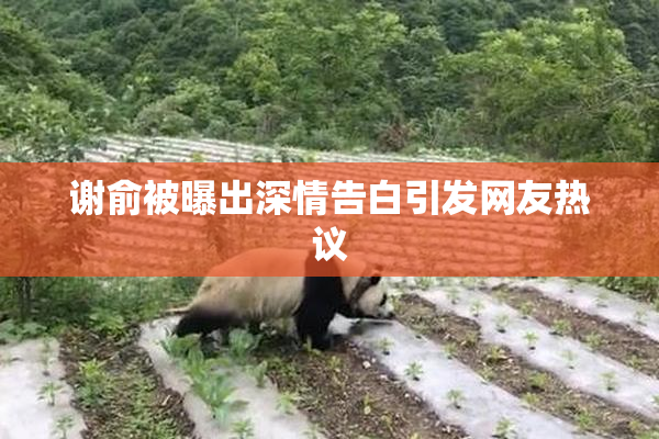 谢俞被曝出深情告白引发网友热议