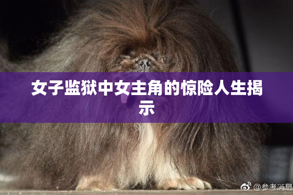 女子监狱中女主角的惊险人生揭示