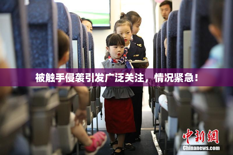 被触手侵袭引发广泛关注，情况紧急！