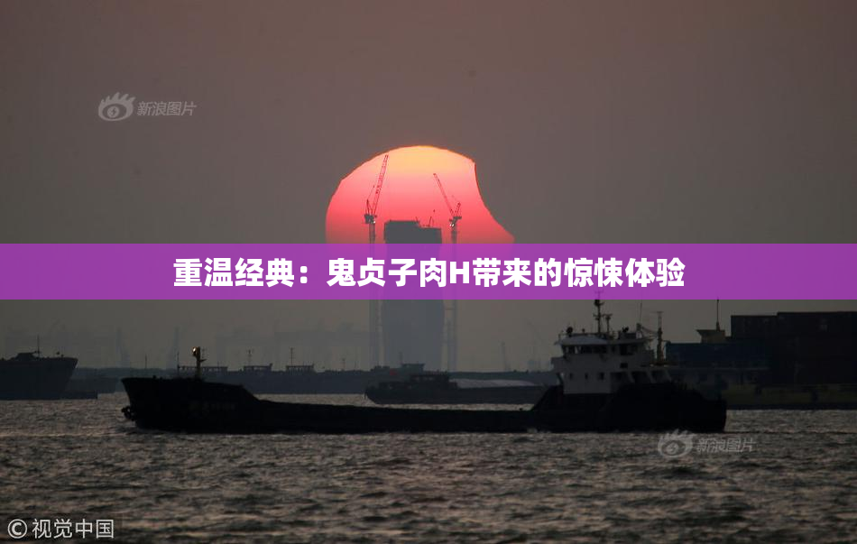 重温经典：鬼贞子肉H带来的惊悚体验