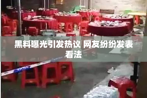 黑料曝光引发热议 网友纷纷发表看法
