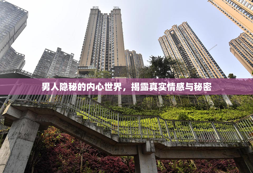 男人隐秘的内心世界，揭露真实情感与秘密