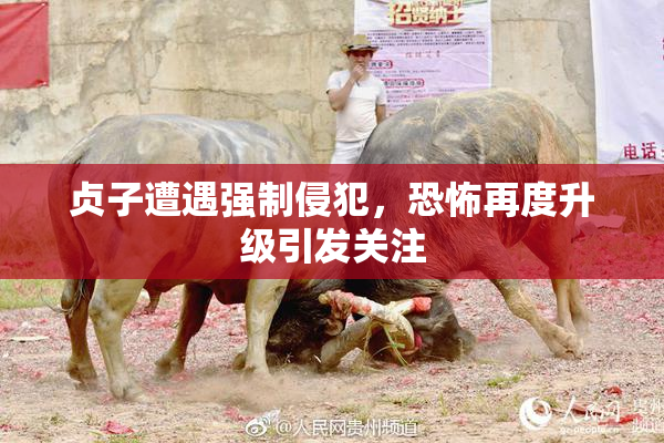 贞子遭遇强制侵犯，恐怖再度升级引发关注