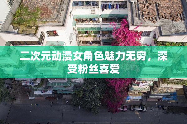 二次元动漫女角色魅力无穷，深受粉丝喜爱