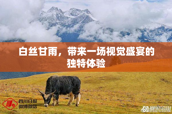 白丝甘雨，带来一场视觉盛宴的独特体验