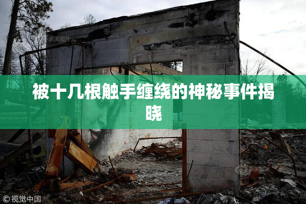 被十几根触手缠绕的神秘事件揭晓