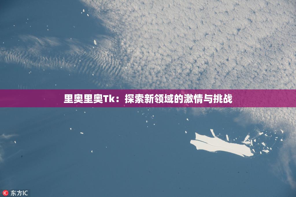 里奥里奥Tk：探索新领域的激情与挑战