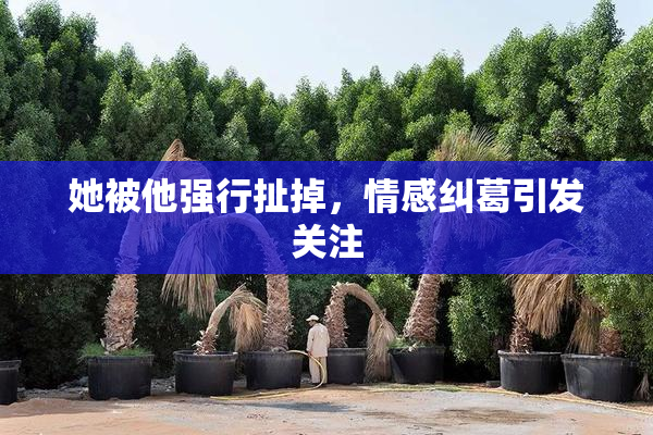 她被他强行扯掉，情感纠葛引发关注