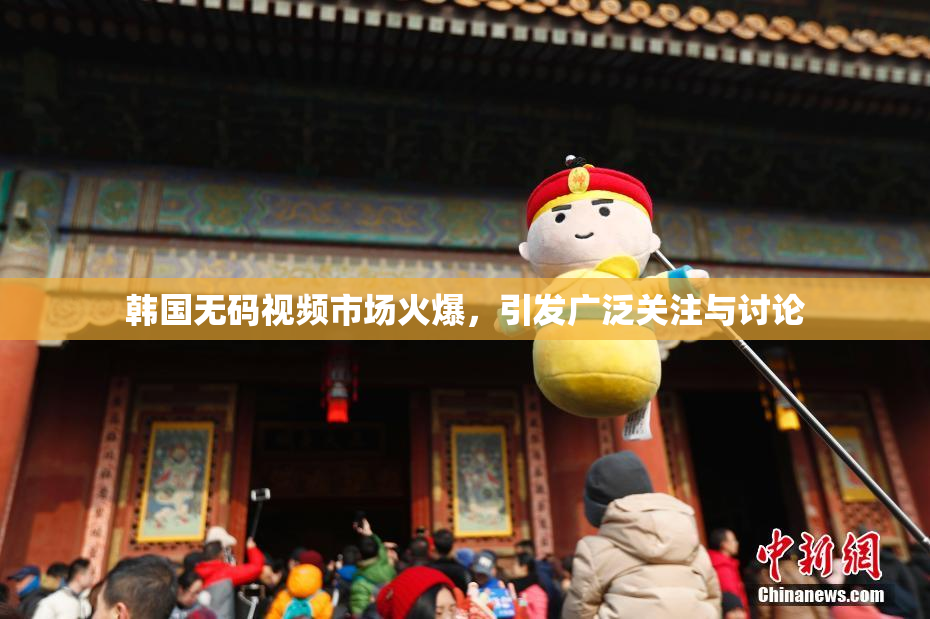 韩国无码视频市场火爆，引发广泛关注与讨论