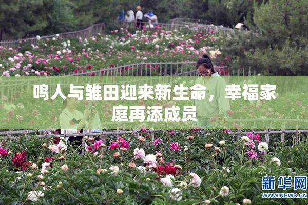 鸣人与雏田迎来新生命，幸福家庭再添成员