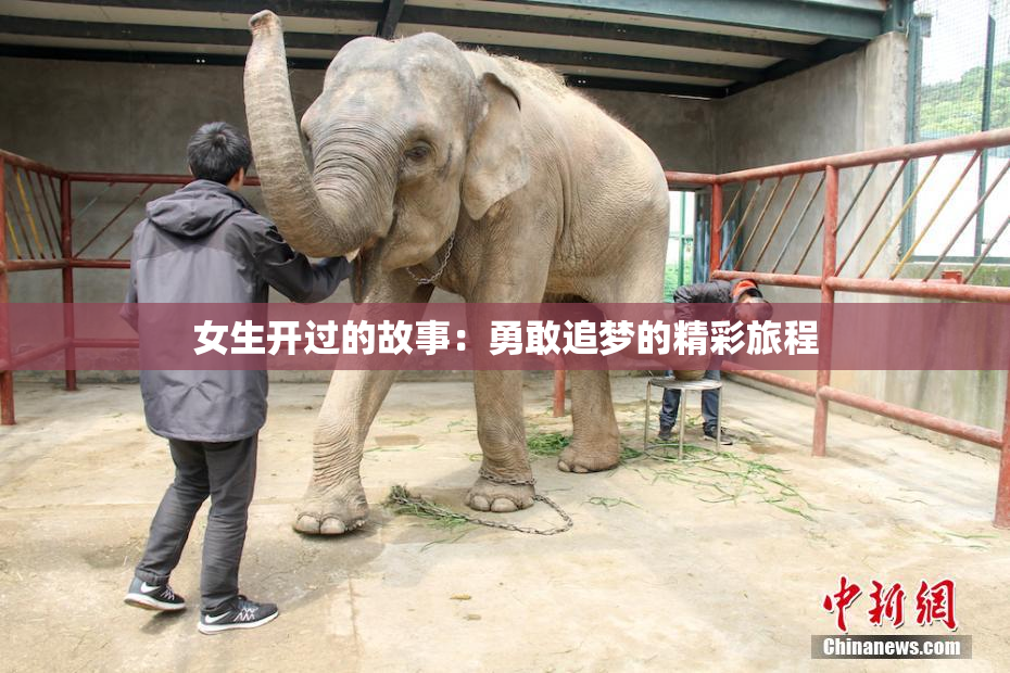 女生开过的故事：勇敢追梦的精彩旅程