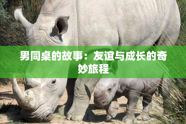 男同桌的故事：友谊与成长的奇妙旅程
